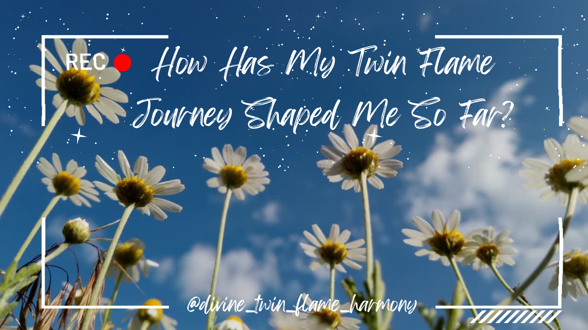 Twin Flame Journey Experience